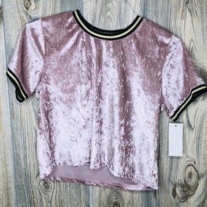 ‼️BRAND NEW ‼️ Pink Velvet Crop Tee